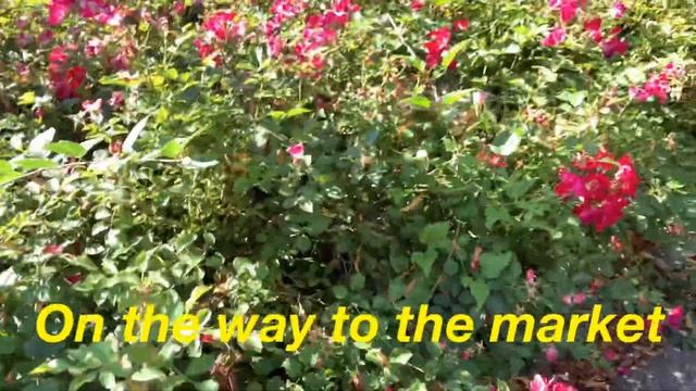 Little market malapit sa Amin смотреть онлайн