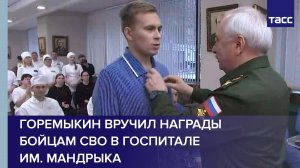 Горемыкин вручил награды бойцам СВО в госпитале им. Мандрыка