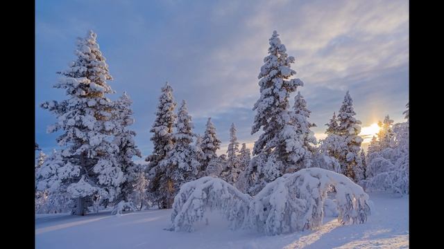 Ян Сибелиус 3 часть "Ель" смотреть онлайн