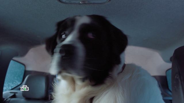 Папаши. Трейлер №2 смотреть онлайн