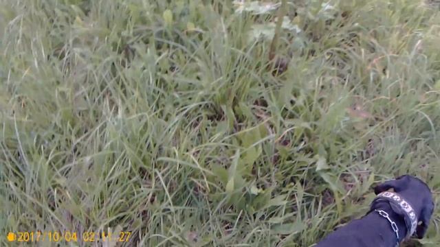 След по траве 19.07. смотреть онлайн