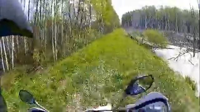 по болоту 2 смотреть онлайн