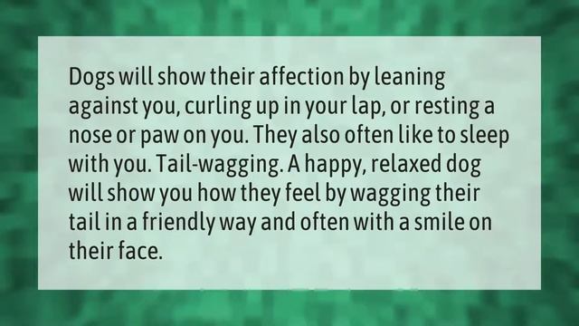 What does it mean when a dog licks your hand constantly? смотреть онлайн