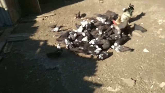 Полет смотреть онлайн