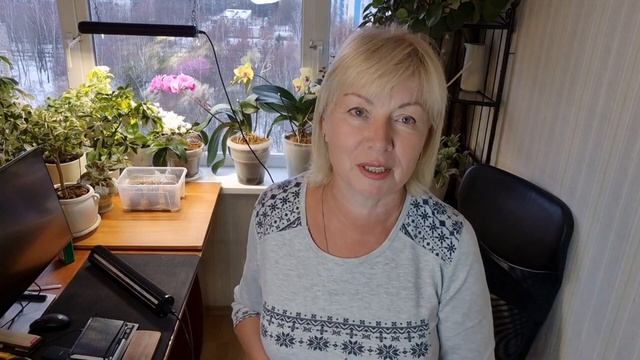 Что нас ждало на даче. Не все выжило. Рассада. Семена.Орхидеи цветут шикарно под лампой смотреть онлайн