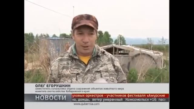 Свежие новости МЕДВЕДЬ НАСМЕРТЬ ЗАДРАЛ ЧЕЛОВЕКА смотреть онлайн