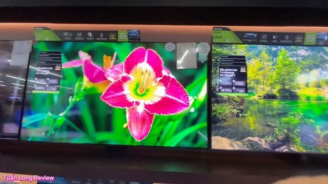 Cán mốc 20 triệu | lý giải vì sao 65Q80C đáng từng Xu? | Màn Full Array, 120hz Đẹp Nhất смотреть онлайн