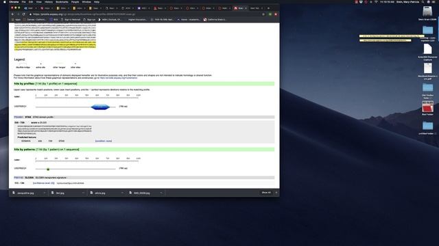 How to Identify Protein Domains - Gene Project #3 смотреть онлайн