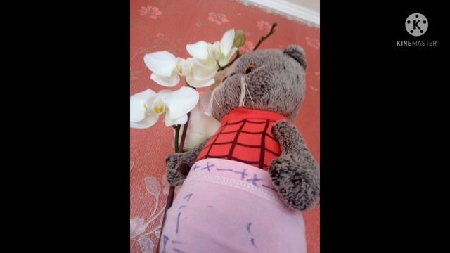 ≤ФОТОСЕСИЯ БАСИКА≥прости те за долгое отсуствие просто я думала што можна снять смотреть онлайн