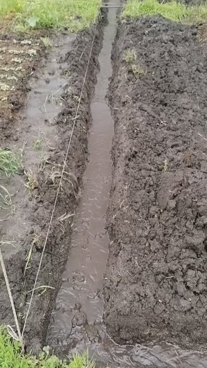 Осушение участка