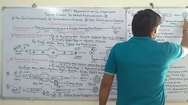 Fertilization Events [English] смотреть онлайн