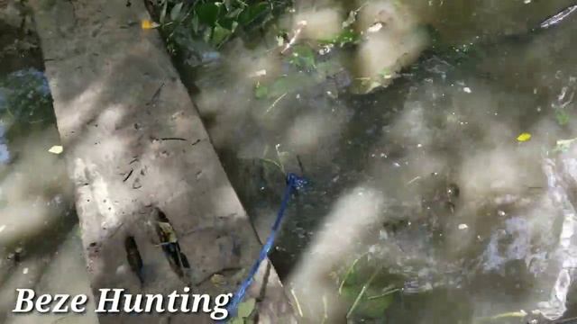 Look what Going On Here (Beze Hunting) смотреть онлайн