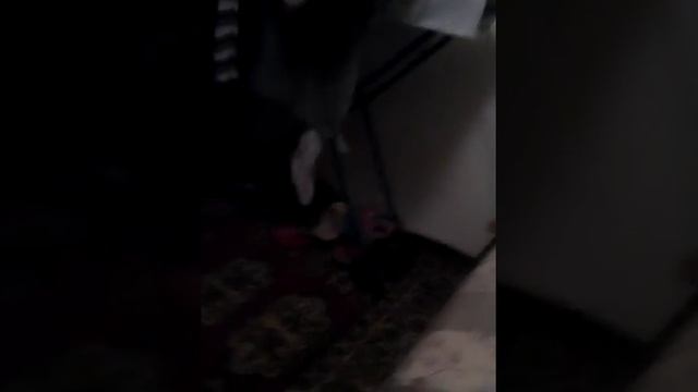 #2 как вызвать гнома жыланий (правда или фэйк )