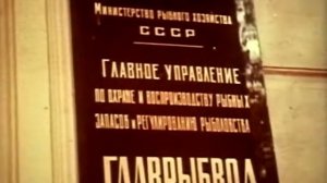 Фитиль №213 Му-му; Рыбозагубители; Крепкий обычай
