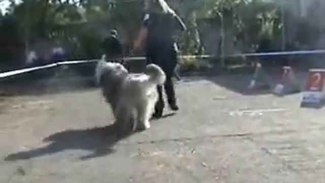 сравнение на ЛК