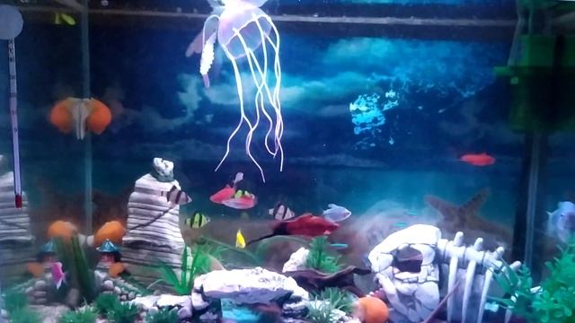 Новый аквариум.17.12.2022 смотреть онлайн