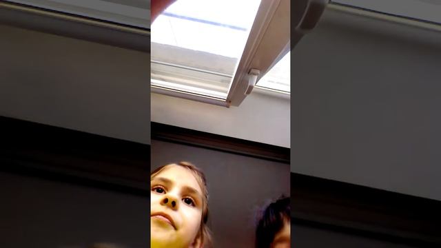 Рэйван смотреть онлайн