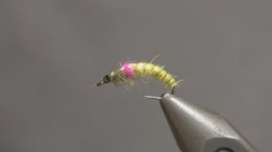 Tying a Czech Nymph Fly - Advanced Fly Tying Tutorial