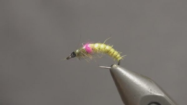 Tying a Czech Nymph Fly - Advanced Fly Tying Tutorial