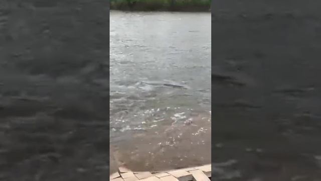 Ограждение Набережной Уходит под Воду...г.Оренбург смотреть онлайн