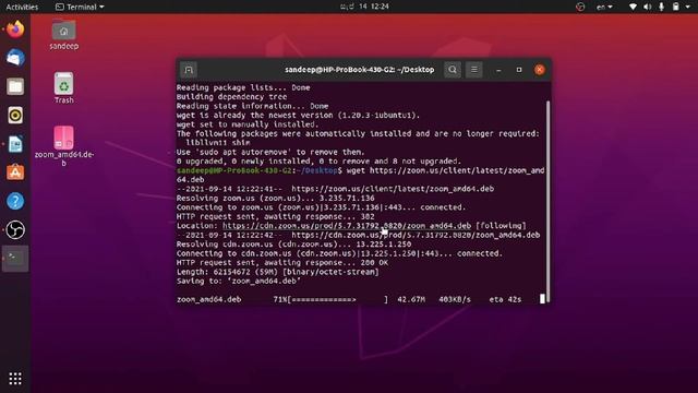 Installing the zoom application for ubuntu Linux смотреть онлайн
