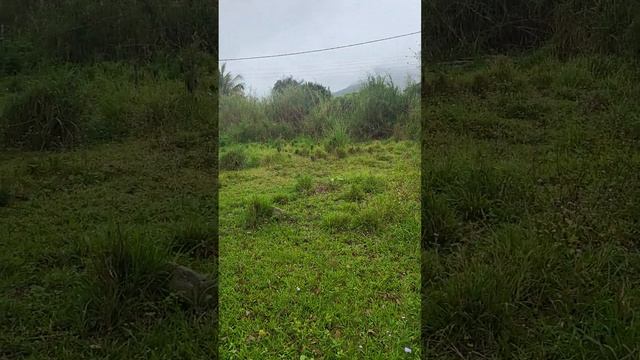 花蓮縣瑞穗鄉農4土地近温泉區1 смотреть онлайн