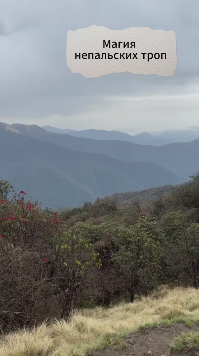 Непальские лесенки на треке #непал #travel #горы #путешествия смотреть онлайн