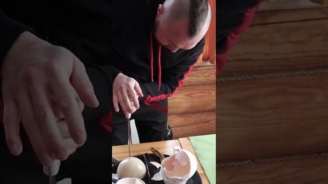 Насколько сложно вскрыть яйцо страуса смотреть онлайн