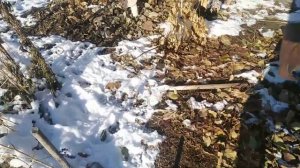 Опрыскивание малины 3% бордоской смесью.29.10.22.Сев.Казахстан.Ч.469.