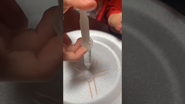 Properties Of Water Science Project