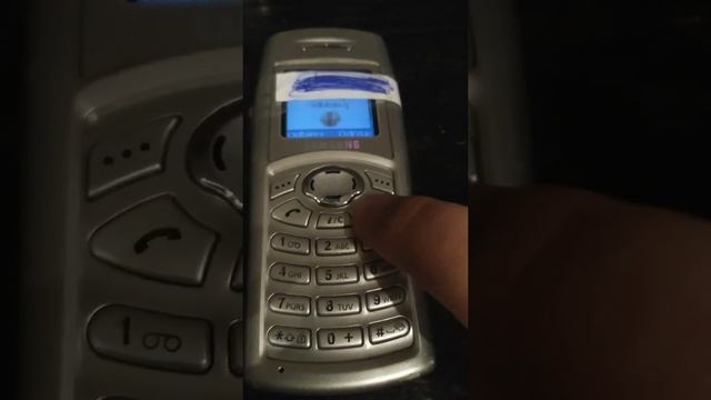 Samsung C100 Incoming Call