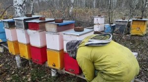 Пчеловодство.Это должен делать каждый пчеловод. Защищаю пчёл от грызунов и птиц в зимний период.