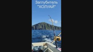 Заглубитель работает совместно  со стерлингами на лакедру , тунца.