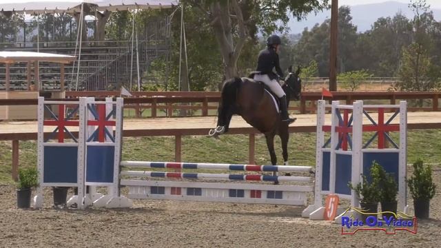 208S Lisa Sabo On Infinity Open Beginner Novice Show Jumping Galway Downs May 2019