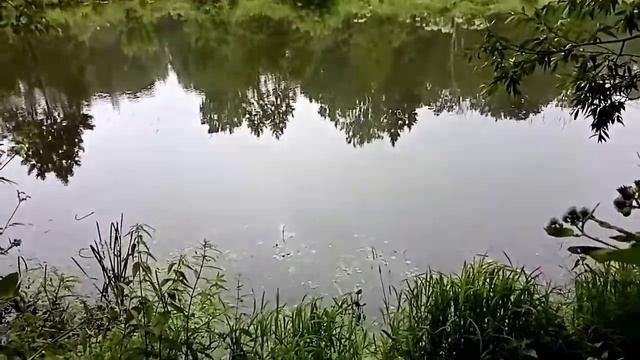 Первый улов на самодельный телевизор ( екран) смотреть онлайн