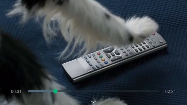 TMDB on Android Tv (leanback) смотреть онлайн