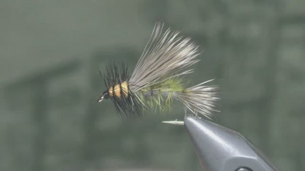 I am doing STIMULATOR OLIVE best DRY FLY for trout tutorials