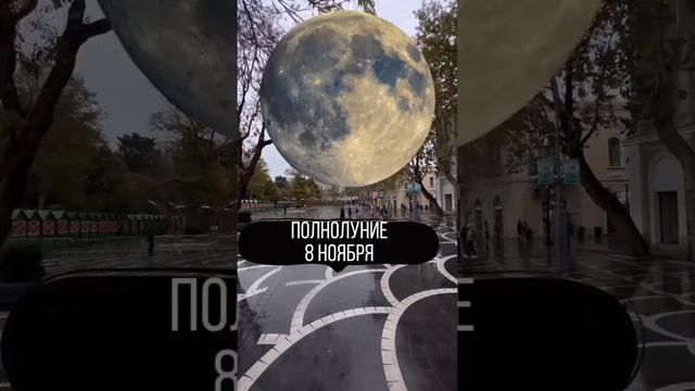 Полнолуние Сегодня 8 Ноября 2022 смотреть онлайн