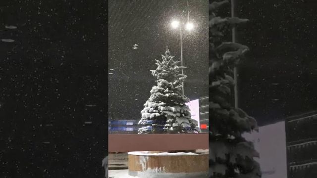 Волшебный снегопад в Москве | Аэропорт Домодедово, январь смотреть онлайн