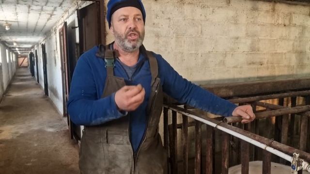 Свиноферма Алексея Гауса.Ответы на интересующие вопросы. смотреть онлайн