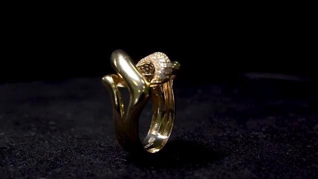 Предметная видео сьемка смотреть онлайн