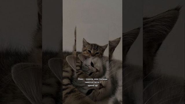 Ooes - сквозь мои пальцы тянется лето || speed up смотреть онлайн