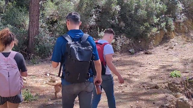 Ликийская тропа. Собаки, черепаха, змея, роскошные виды смотреть онлайн