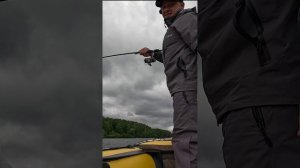 ВОТ ЭТО ВЖАРИЛ!!! ПОИМКА ТРОФЕЙНОГО СОМА!!! #рыбалка #fishing  #carpfishing #рыба #fish #angler