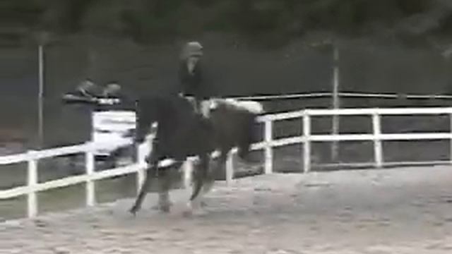 Lantana Duke Classic 2