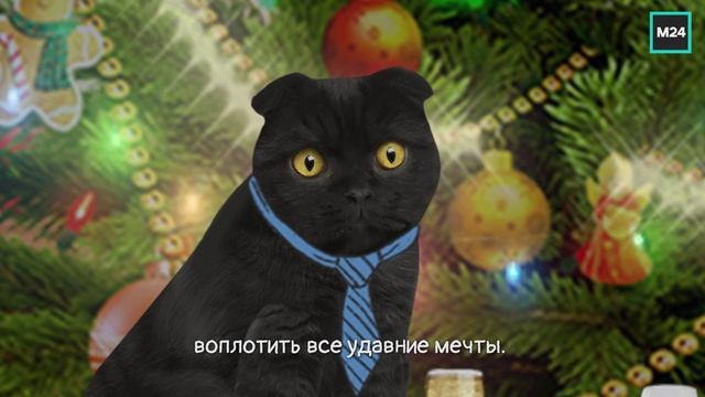 С Новым годом! | Кот Бублик смотреть онлайн