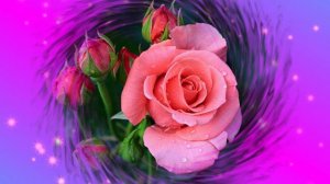 Футаж. Цветочный фон 202