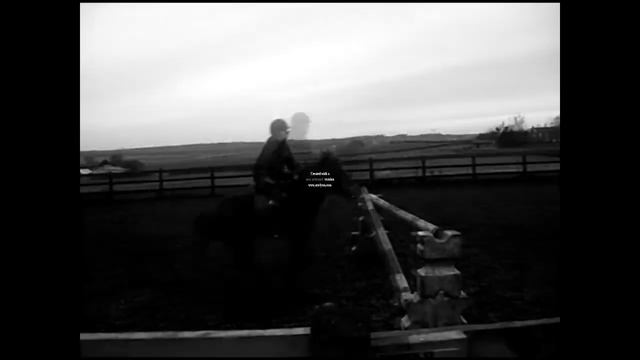 could've been a contender смотреть онлайн