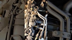 Ауди Q5, 2.0 tdi заводится и глохнет