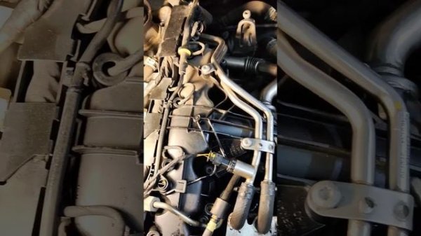 Ауди Q5, 2.0 tdi заводится и глохнет